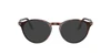 Óculos de Grau Persol PO3092V -  Tartaruga
