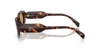 Oculos de Sol Miu Miu MUC01S -  Havana