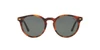 Oculos de Sol Polo Ralph Lauren PH4151 -  Havana