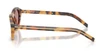 Oculos de Sol Prada PRB15S -  Tartaruga
