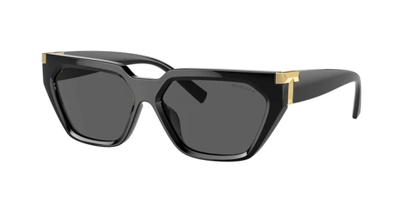 Óculos de Sol Tiffany TF4205U -  Preto