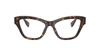 Oculos de Grau Dolce Gabbana DG3448 -  Havana