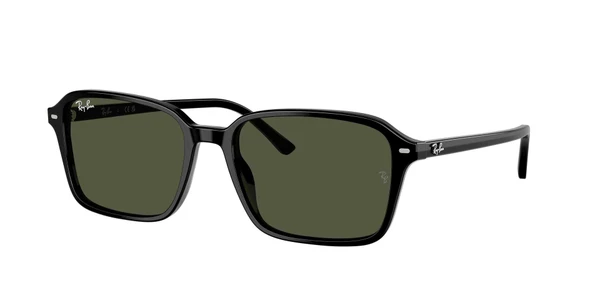 Óculos de Sol Ray Ban RB2231 Raimond -  Preto