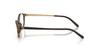 Oculos de Grau Miu Miu MU05ZV -  Havana