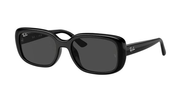 Óculos de Sol Ray Ban RB4421D -  Preto