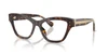 Oculos de Grau Dolce Gabbana DG3448 -  Havana