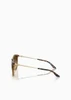 Oculos de Sol Armani Exchange AX4140S -  Tartaruga