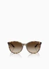 Oculos de Sol Armani Exchange AX4140S -  Tartaruga