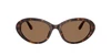 Oculos de Sol Dolce e Gabbana DG4570 -  Havana