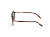 Oculos de Sol Ermenegildo Zegna EZ0202 -  Tartaruga