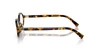Oculos de Sol Miu Miu MU04ZS -  Havana