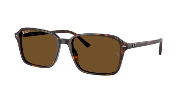 Óculos de Sol Ray Ban RB2231 Raimond -  Havana